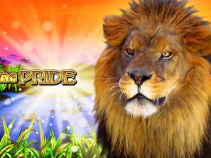 vlt gratis King of the Pride